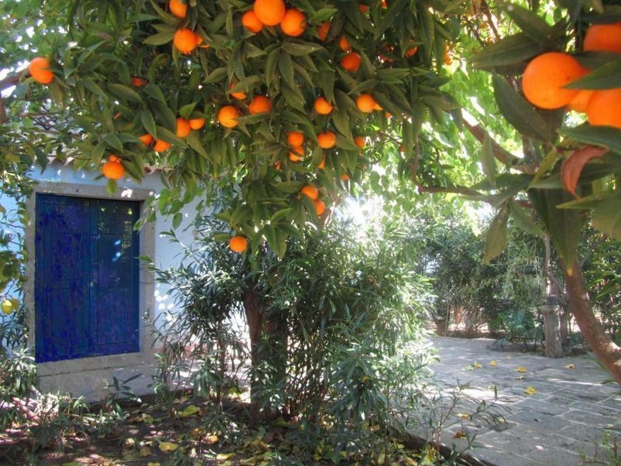 Come In Sicily La Pietra Monaca Apartment Acireale Phòng bức ảnh